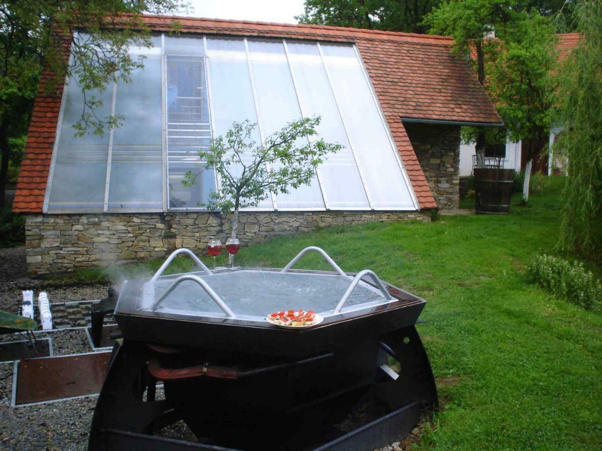Historicky Objekt Ailit Homestay Podbranc