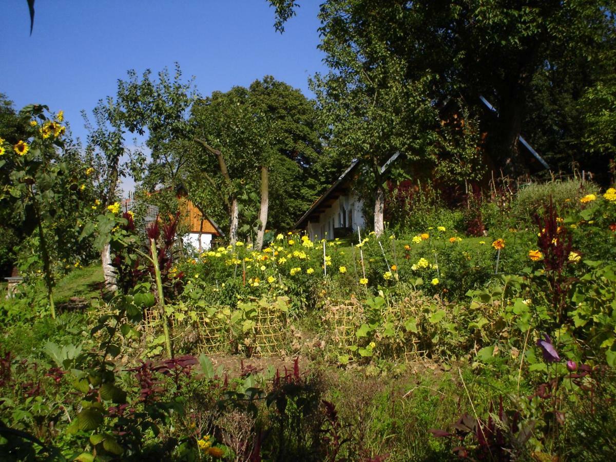 Historicky Objekt Ailit Homestay Podbranc
