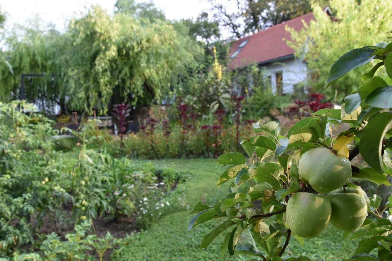 Historicky Objekt Ailit Podbranc